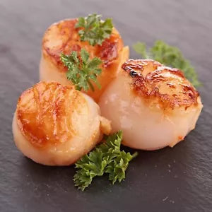 Scallops